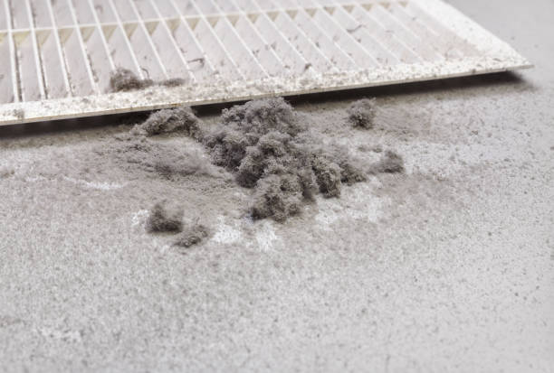 Best Professional Duct Cleaning Services  in Key West, FL